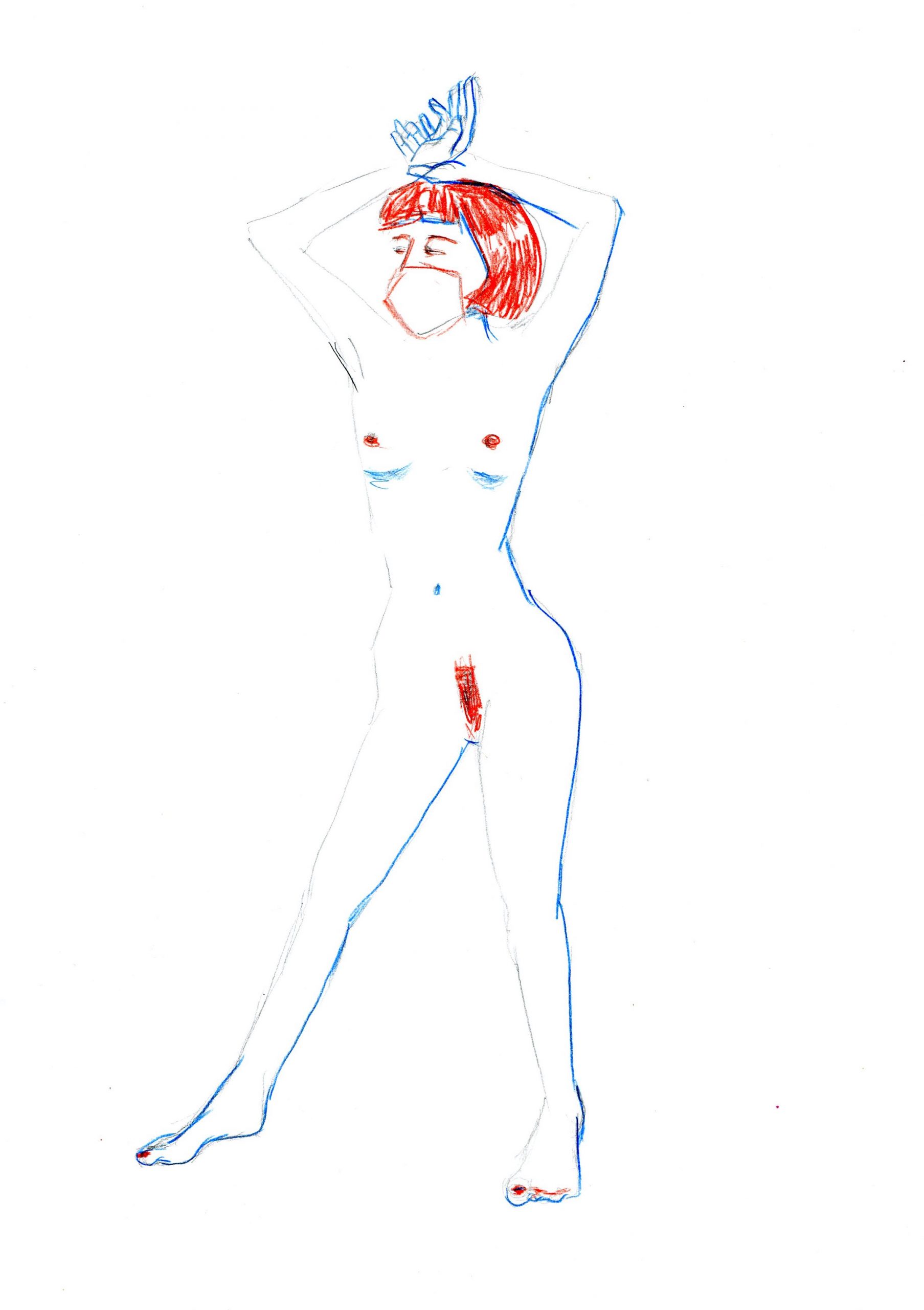 ilustracion anatomia