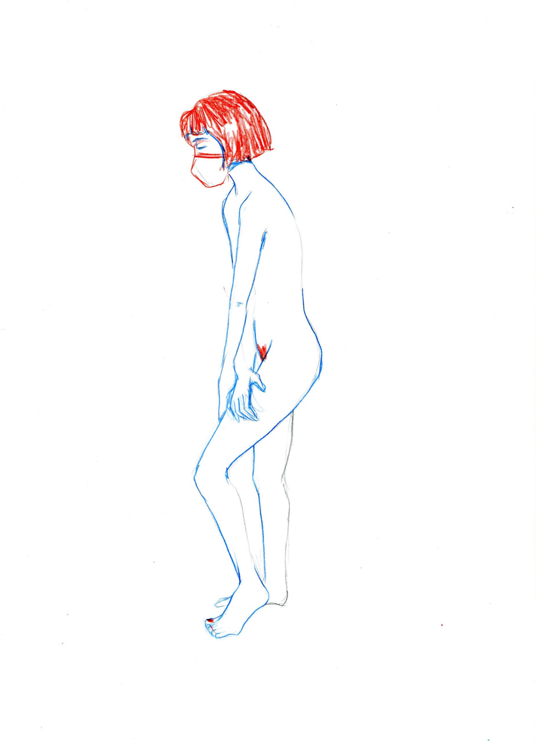 ilustracion anatomia