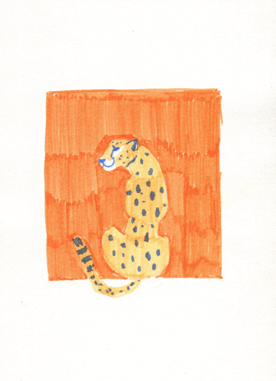 Ilustracion guepardo