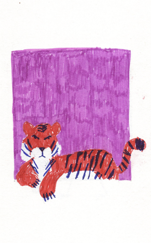ilustracion tigre