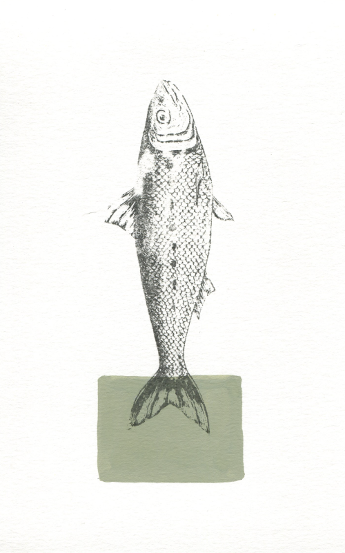 ilustración pez