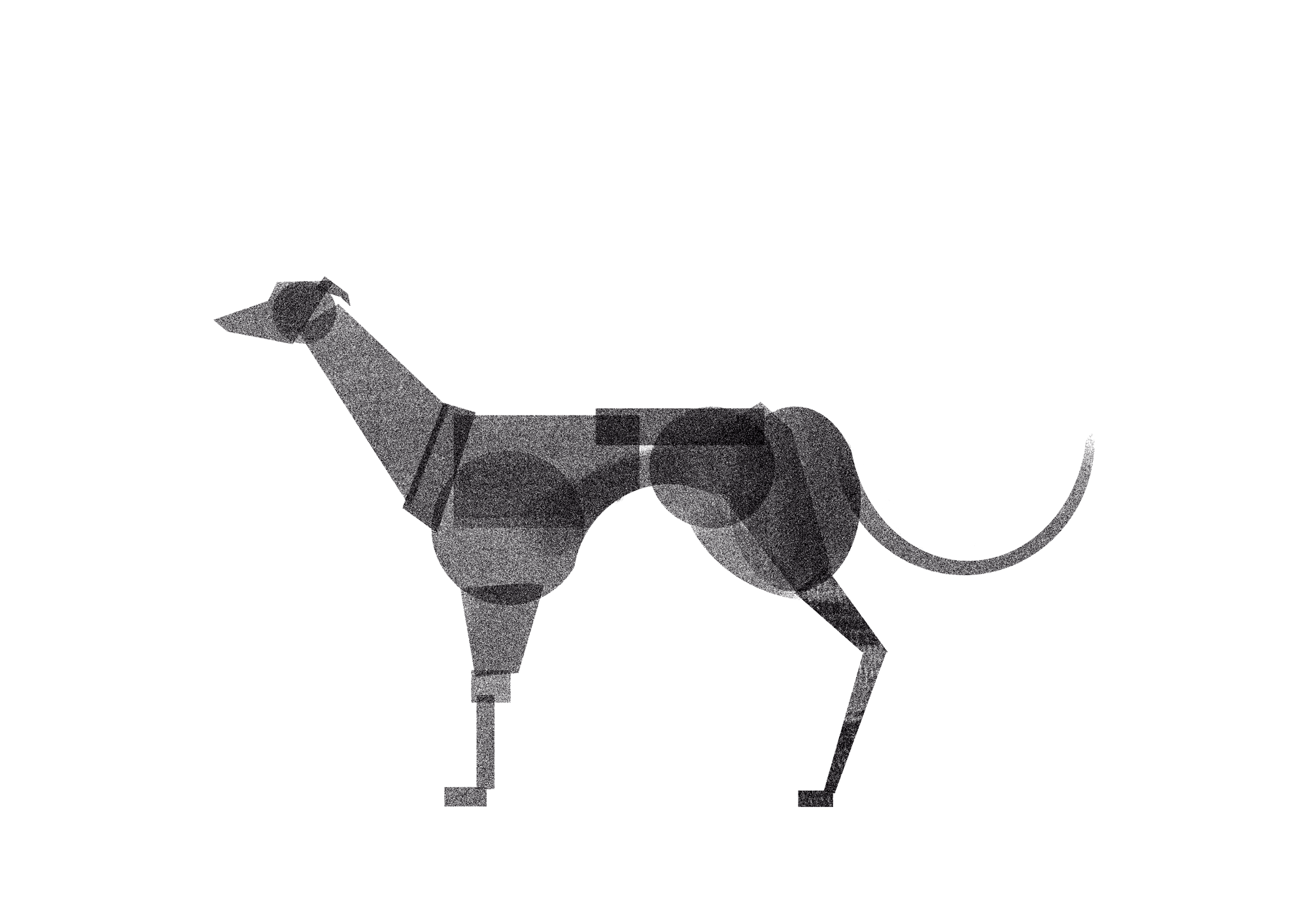 Oreo the greyhound
